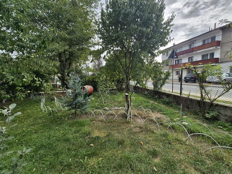 Vila 4 camere + teren 818 mp central Provita de Sus (lângă școală) - 49