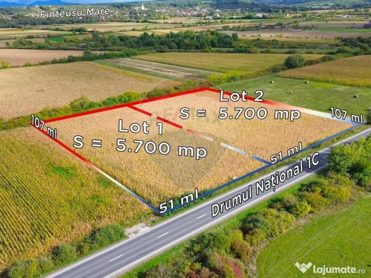 Un lot de teren sau parcela intreaga de Vanzare sau schim... - 4