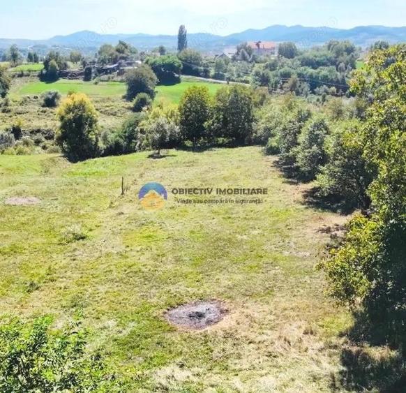 TEREN intravilan 2510 mp BORLE?TI - ?OVOAIA - 4