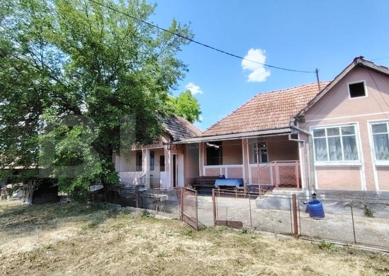Casa renovabila 2,2 arii taren in Raciu - 18