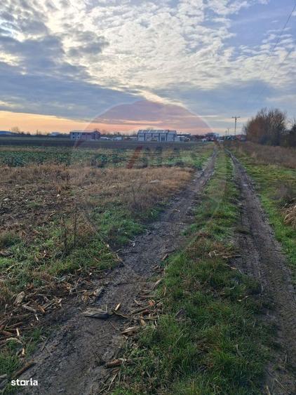 Teren intravilan 3400mp de vanzare la Santion - 1