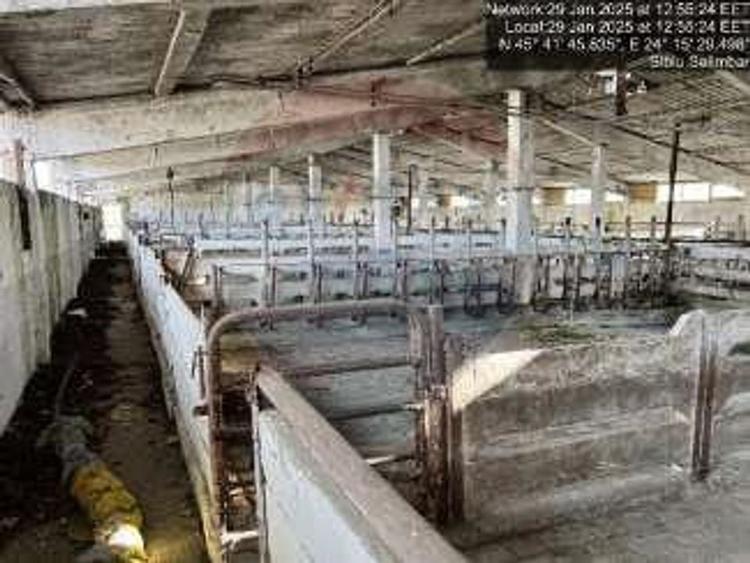 ferma zootehnica functionala, cu teren generos si acces auto direct - 4