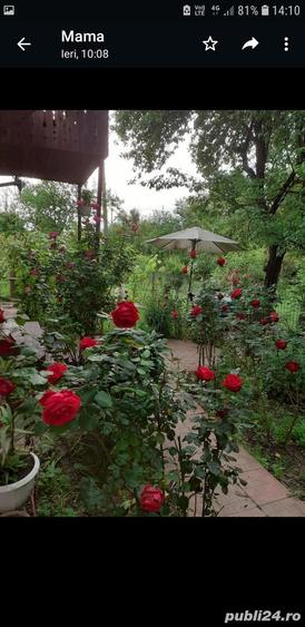 Casa de vanzare in comuna Rosia de Amaradia jud Gorj - 2