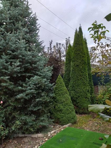 Imobil central Moieciu de jos,Brasov.La vanzare si schimb imobiliar,inclusiv cu dezvoltatori imobil. - 3