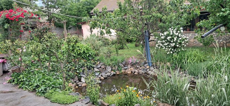 Lumina-teren 4297mp cu deschidere la DN - 3