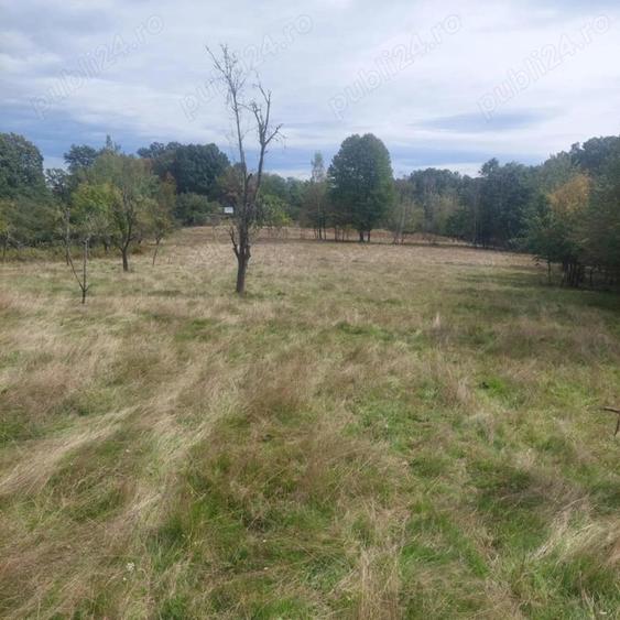 Teren 15826 mp + padure 1 ha - 7