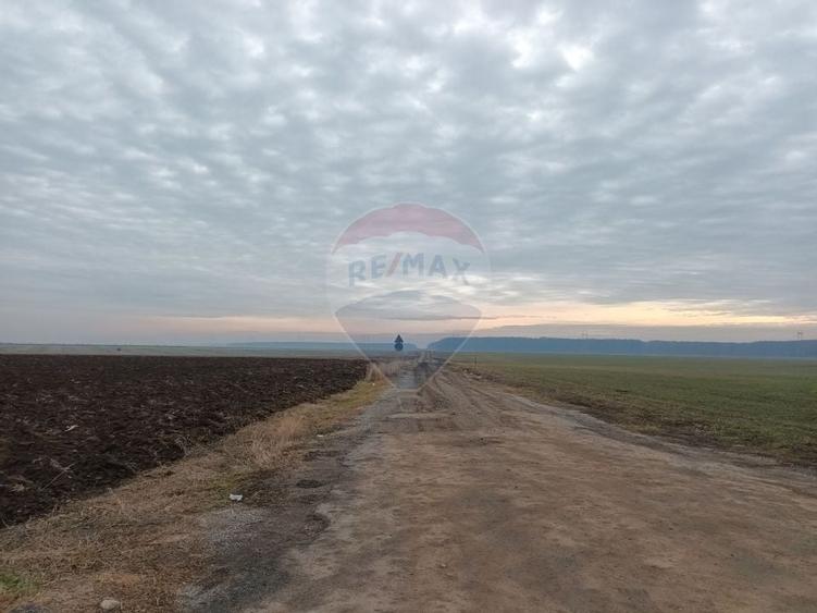Vanzare teren intravilan parcelat, in Branesti langa - Autostrada A2 - 10