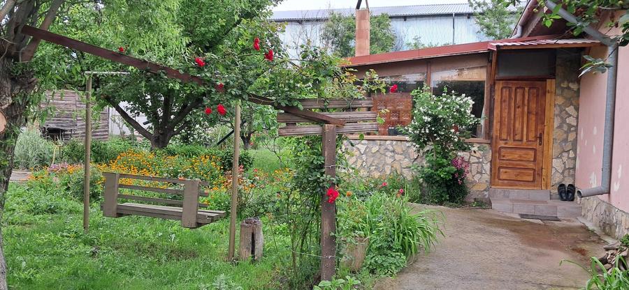 Lumina-teren 4297mp cu deschidere la DN - 4