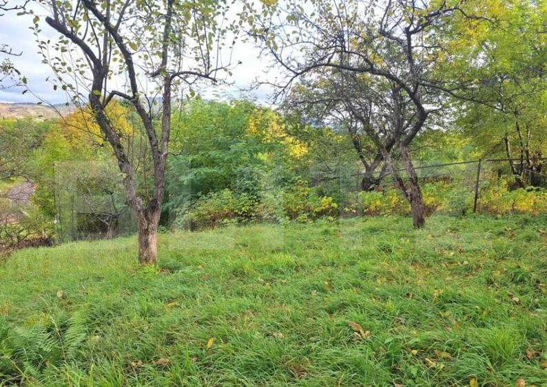 Casa in Sacele singur in curte, zona excelenta! - 6