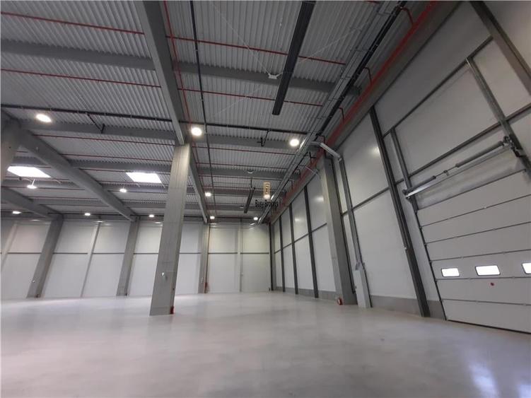 Spatiu Industrial - 5300 mp - Logistica - Productie - Depozitare - Distributie - 13
