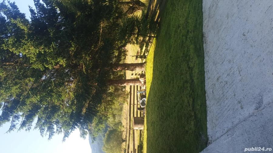 Vand casa de vacanta - 9