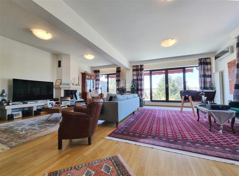 Penthouse cu 5 camere decomandat, mobilat în Kiseleff Penthouse cu 5 camere decomandat, mobilat în Kiseleff