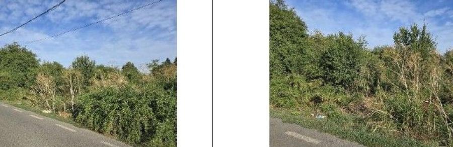 Teren intravilan Stefanestii de Jos cota parte 1/5, ID: R... - 1