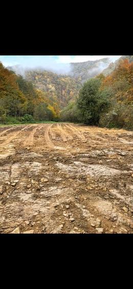 De vanzare Teren tanita 2150 mp - 4