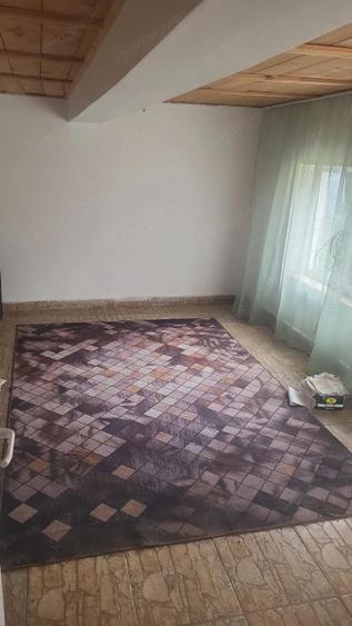 Vand casa Jurilovca - 10