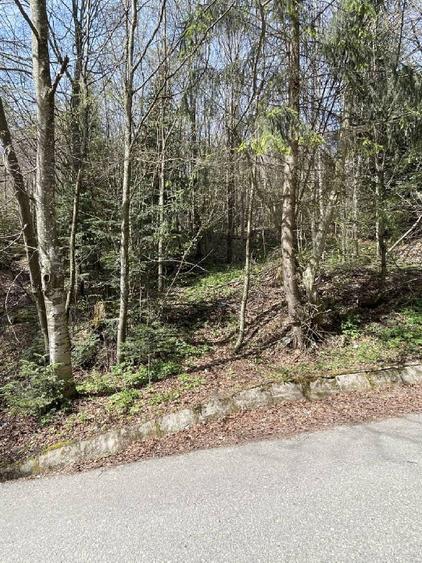 Teren deosebit de vânzare în Sinaia – cartier exclusivist Furnica. - 2