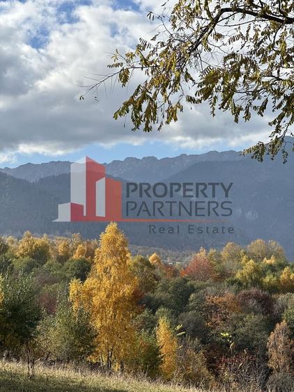 Teren Bran-Tohanita loturi intre 500/1000 mp - 3