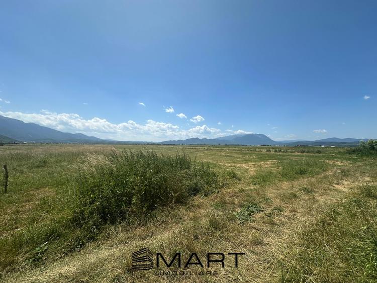 Teren Intravilan Rasnov 7.500 mp - 10