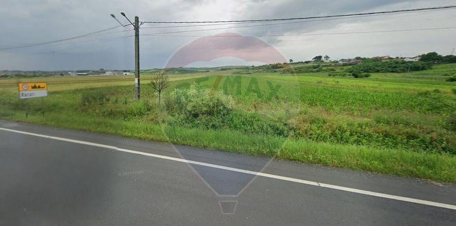 Teren 4 948 mp Bradesti / Racarii de Jos - 6