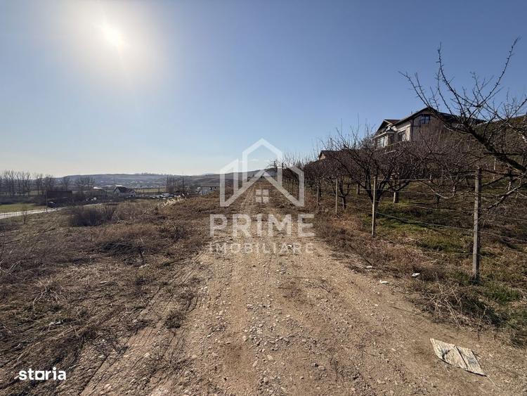 TEREN INTRAVILAN PANORAMIC DE VANZARE 5600 MP, CETATE, ALBA IULIA - 4