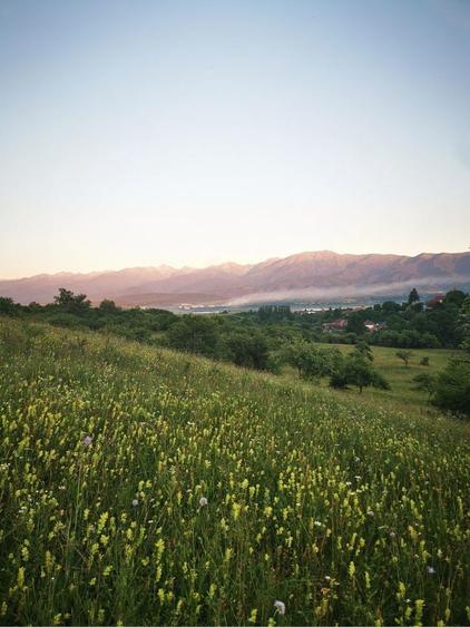 Teren intravilan, doua cabane A-Frame , filigorie, Bradu, jud. Sibiu - 4