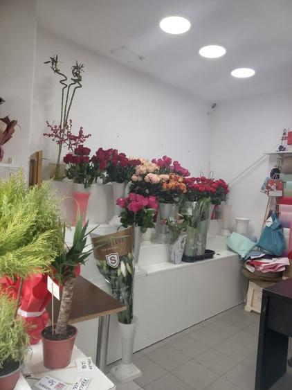 Gara De Nord, vand spatiu cu chirias stabil - 3