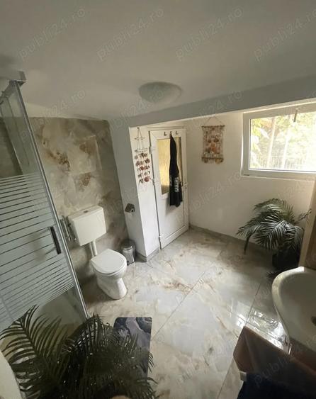 Casa individuala Musicescu. Timisoara - 3