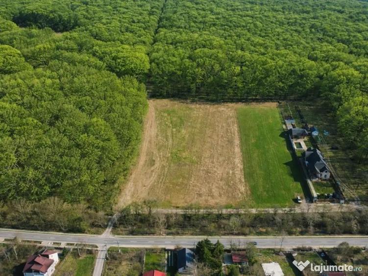 Exclusivitate-proiect unic in Padurea Snagov! Loturi teren 400-600 mp. - 6