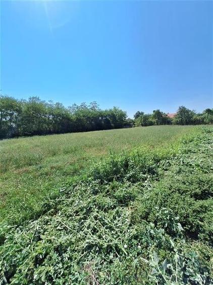 TEREN INTRAVILAM DE VANZARE IN BORZESTI - ONESTI - 2