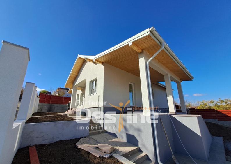 VALEA ADANCA, CASA PLAN PARTER, 101 MP TOTALI, 160. 000 EURO - 8