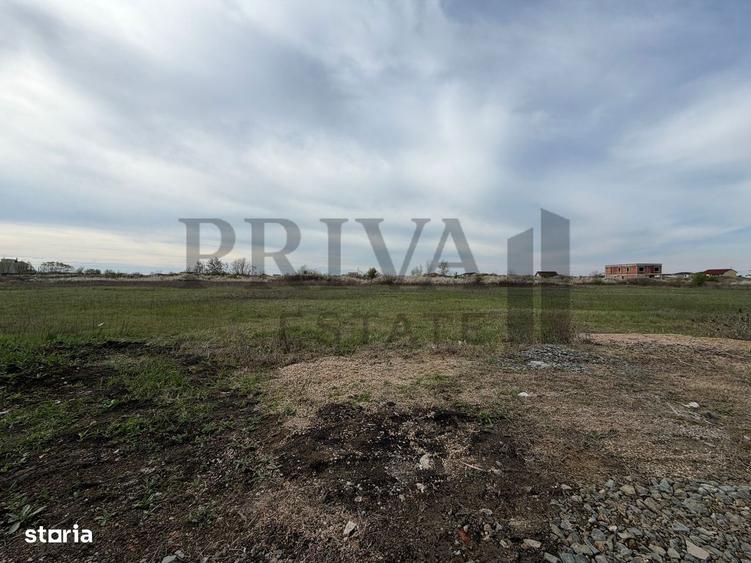 Teren intravilan, 838 mp, fs 19 mp, Mosnita Veche - 1