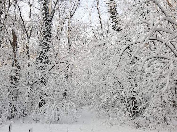 Apartament 4/ 5 camere exclusivist, garaj, inchiriere termen lung, Padurea Banea - 8