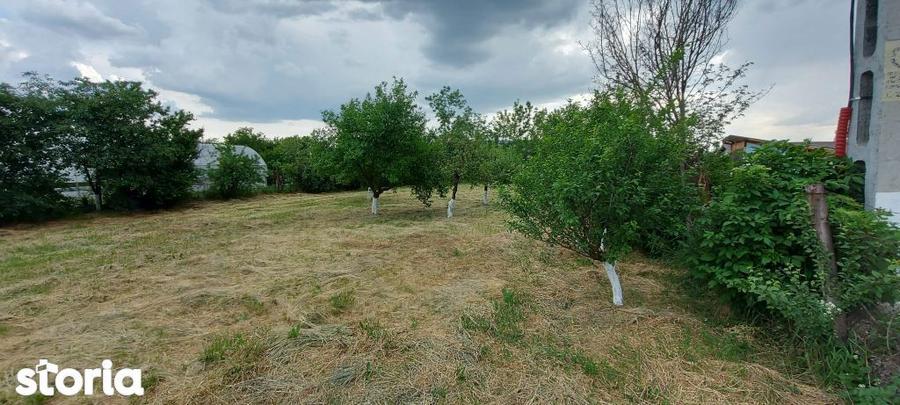 Teren intravilan de vanzare | 900 mp | Movila | Toate utilitatile - 3