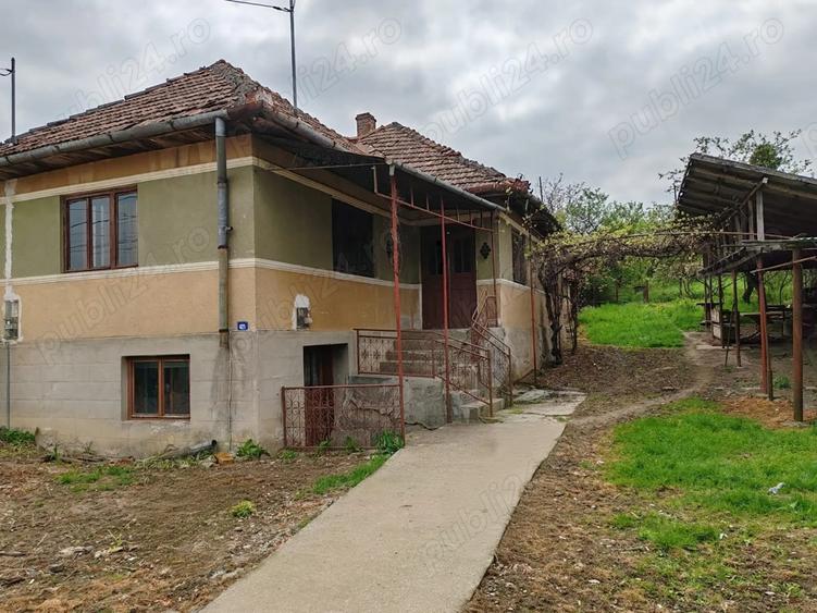 Casa cu anexe gospodaresti si teren aferent, 36 ari. - 6