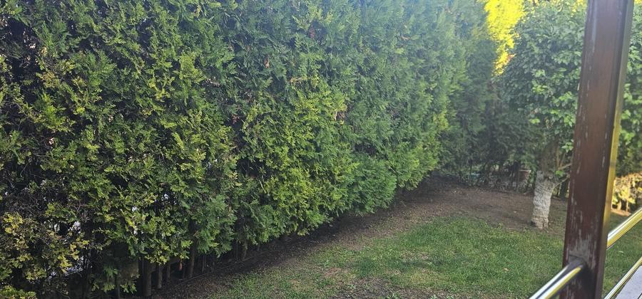 Vila cu teren de 1200 mp, ideal locuit/sediu de firma/clinica etc - 9