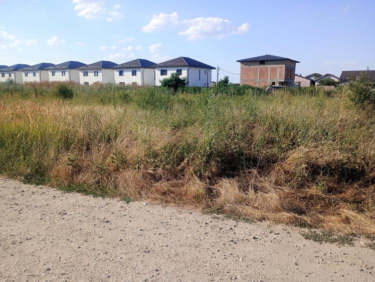 Rascoalei - str. Oltenia, teren intravilan superb - 5