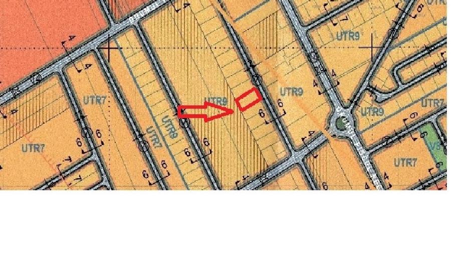 Pădurea Băneasa - 5