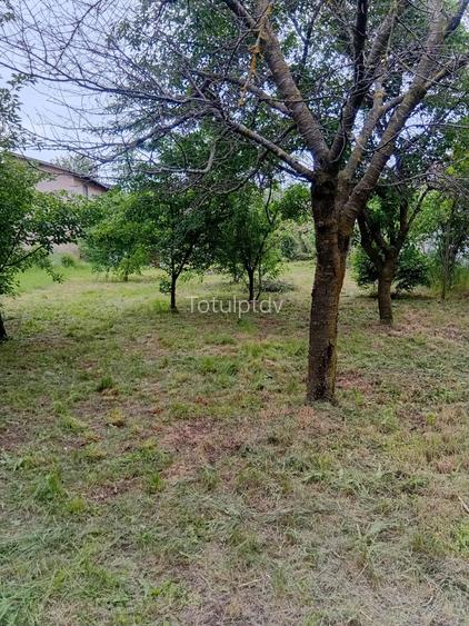 Casa individuala,  teren 1000mp  cu centrala termica pe gaz