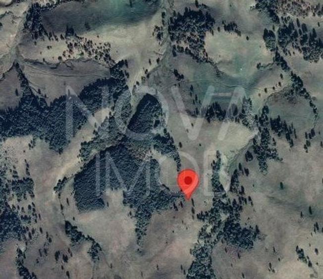 Teren extravilan de vanzare - Crint - 2