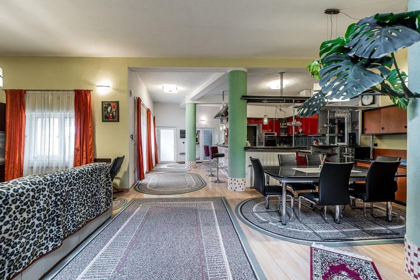 Investiție în Aradul Nou – spațiu comercial,  hala, si un penthouse - 5