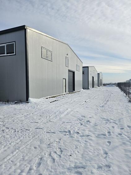 Hale noi 2026 AFUMATI ( Moara Domneasca ) 2300 Euro - 3