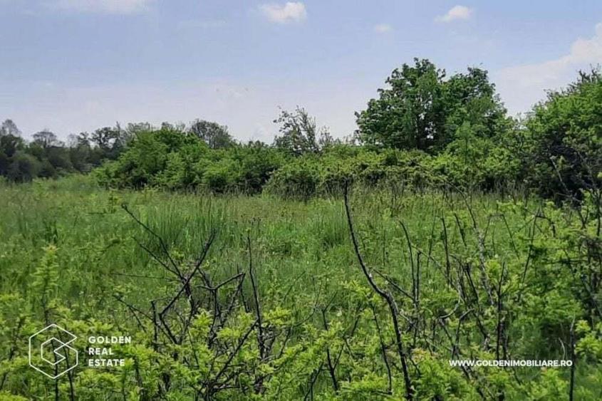 Teren intravilan 2880 mp, DJ 572 Lipova - 3