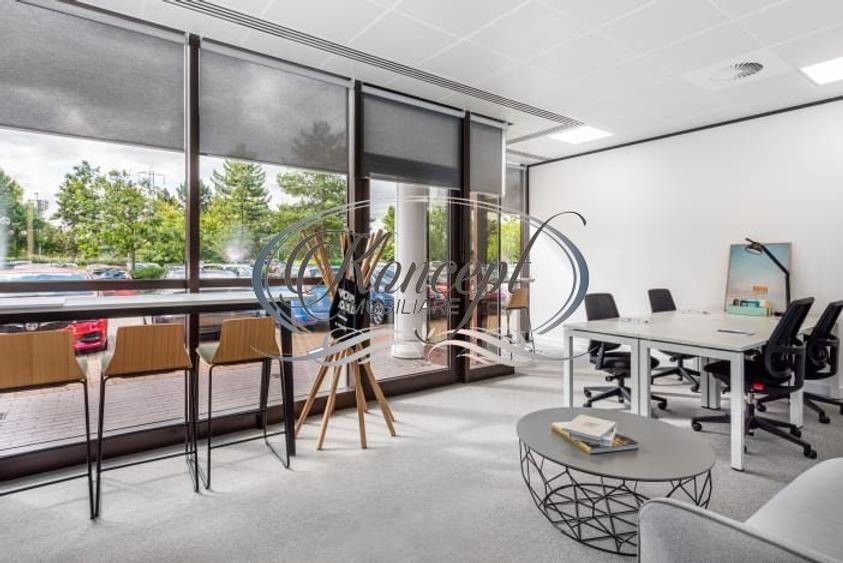 Spatii de birouri la standarde Occidentale - 5