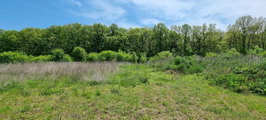 Crevedia terenuri parcelate Samurcasi - 5