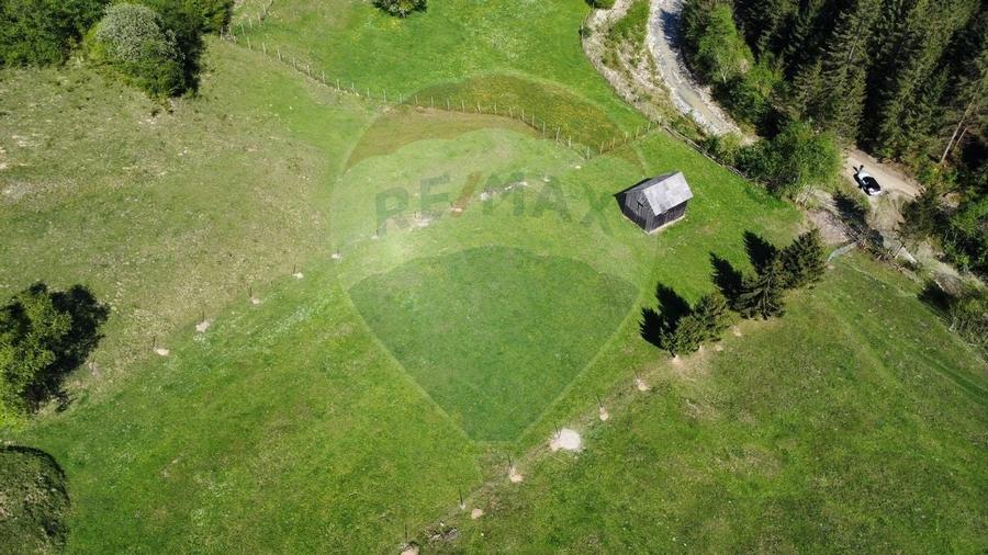 Teren 12,127mp Frasin / Drumul Forestier Valea Seacă - 8