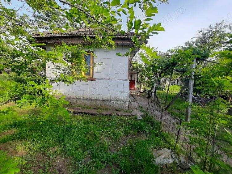 Casa batraneasca de vanzare - 8