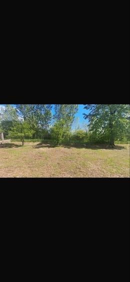 Casă cu 2 camere în Palanga