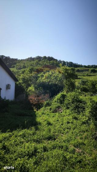 Casă cu 4 camere cu Teren 1694 Mp în Biertan