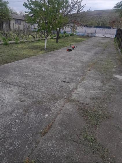 Casă cu Teren 1013 Mp în Vadu Sorești