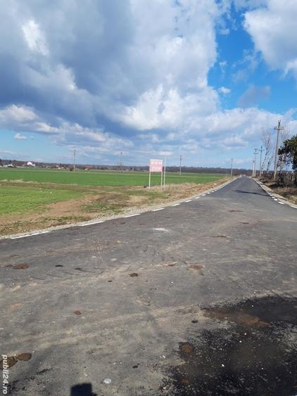 Teren de 4000 mp, în Tâncăbești
